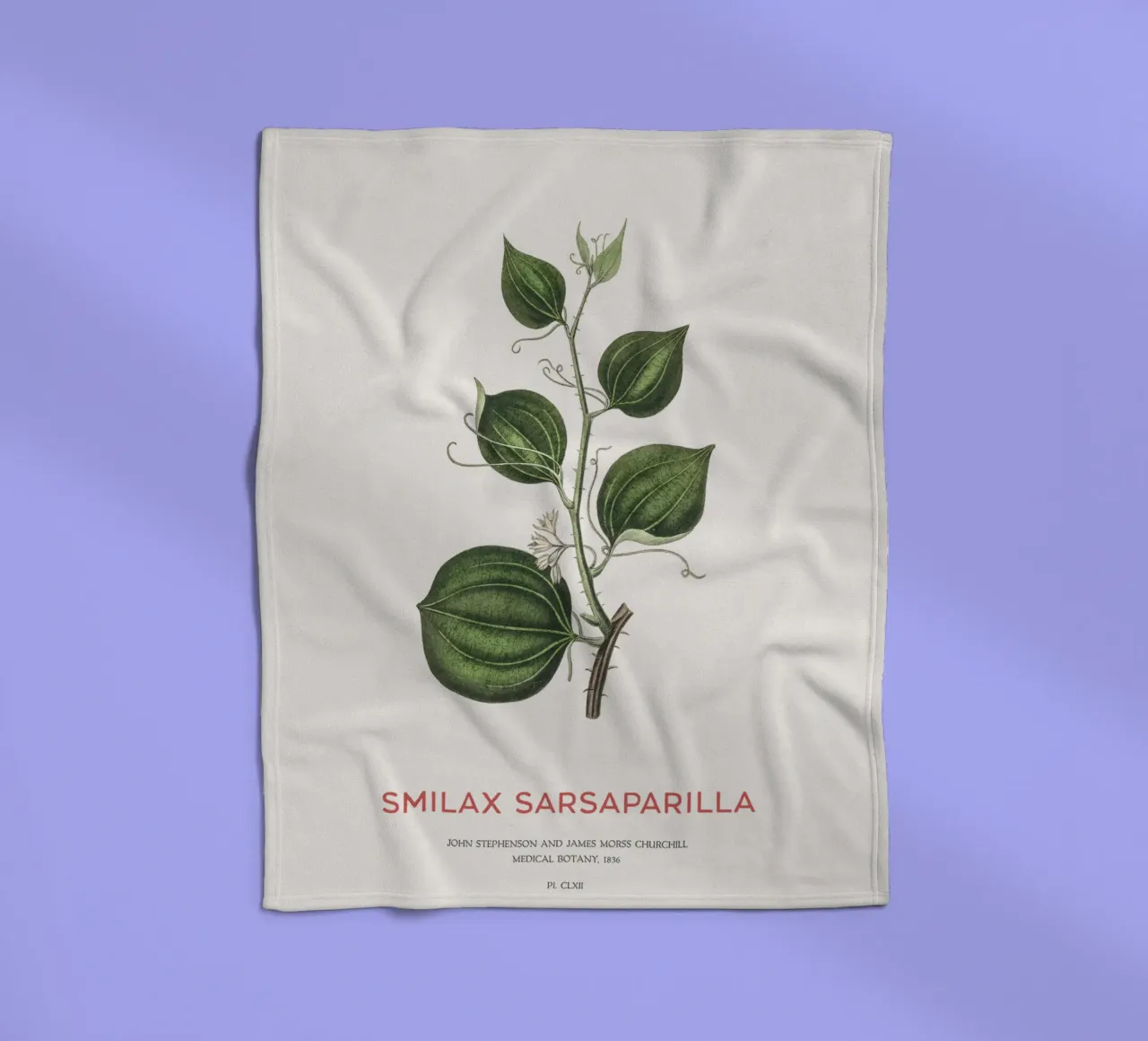 Sarsapariglia di gatto o Smilax coperta in pile da Vintagrafica