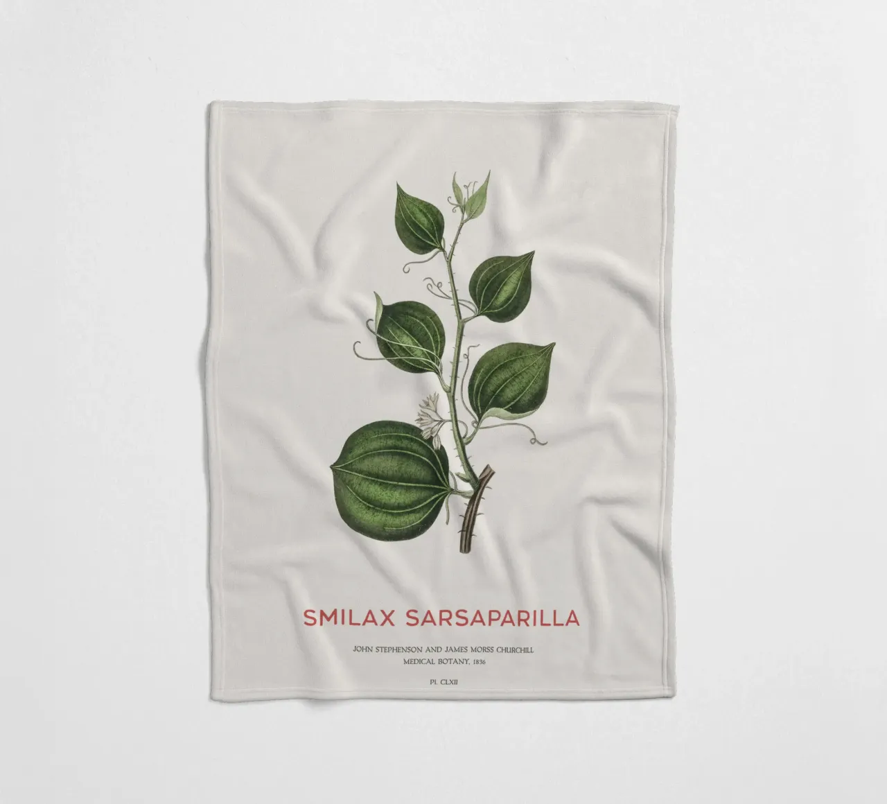 Sarsapariglia di gatto o Smilax coperta in pile da Vintagrafica