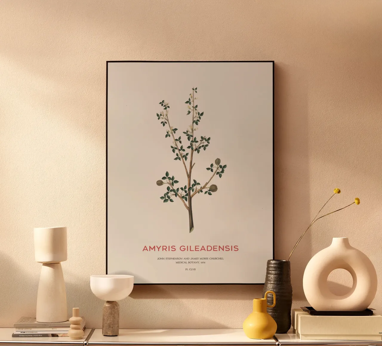 Albero del balsamo arabo o Amyris Gileadensis alluminio dibond da Vintagrafica
