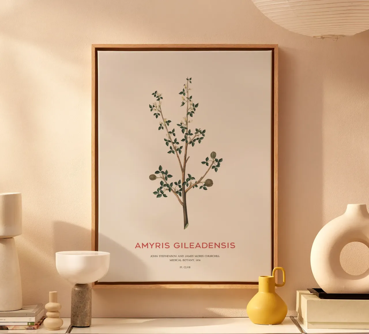 Albero del balsamo arabo o Amyris Gileadensis tela con Cornice a cassetta da Vintagrafica