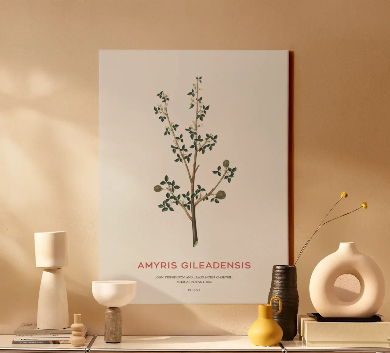 Albero del balsamo arabo o Amyris Gileadensis tela con Cornice a cassetta da Vintagrafica