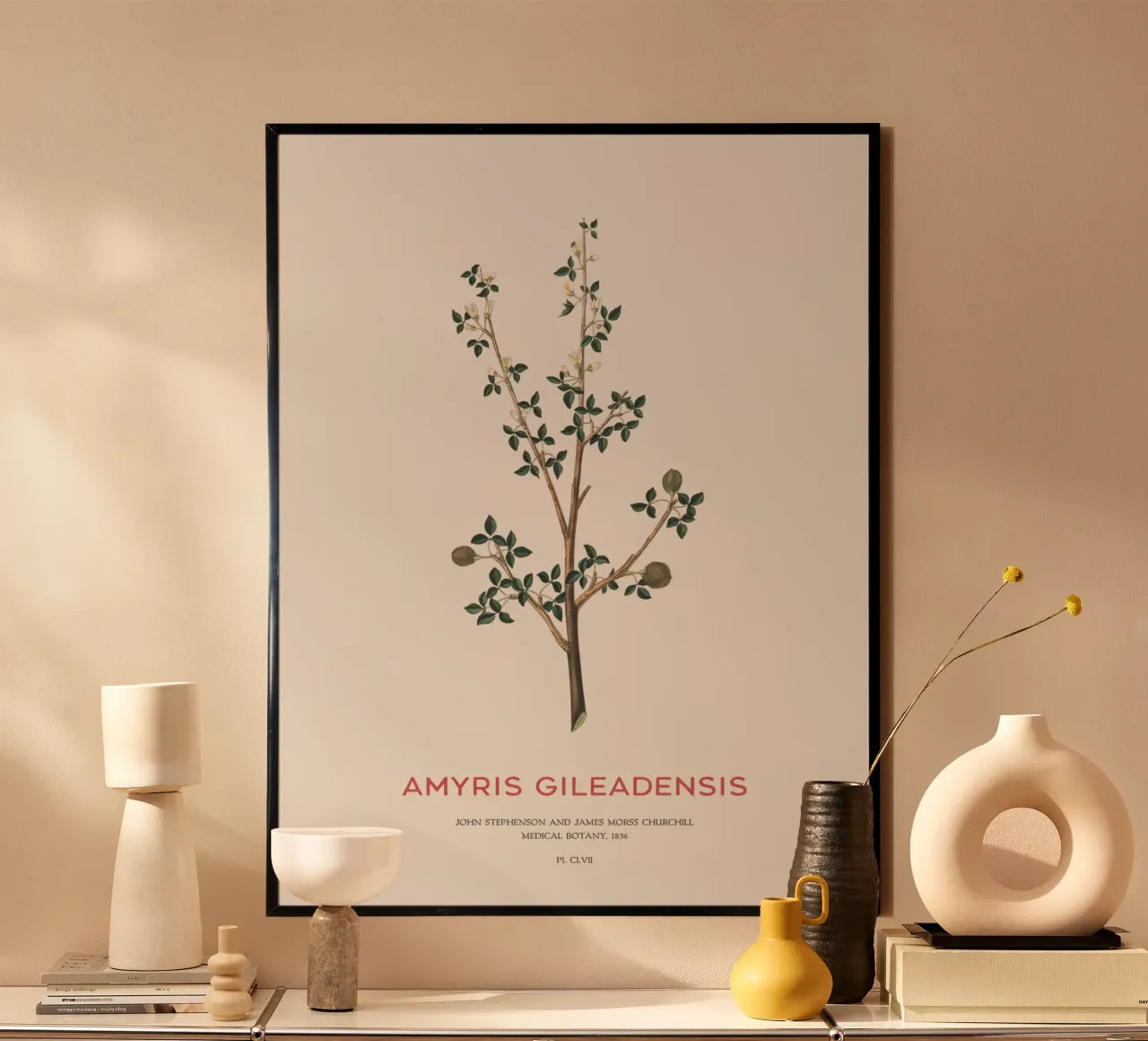 Arabischer Balsambaum oder Amyris Gileadensis Hahnemühle von Vintagrafica