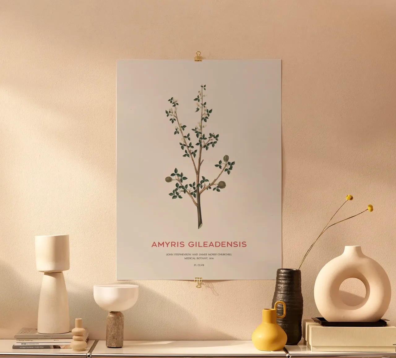 Arabischer Balsambaum oder Amyris Gileadensis Hahnemühle von Vintagrafica