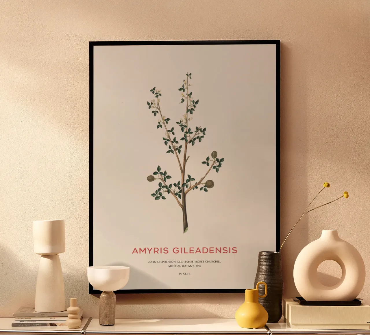Arabischer Balsambaum oder Amyris Gileadensis Hahnemühle von Vintagrafica