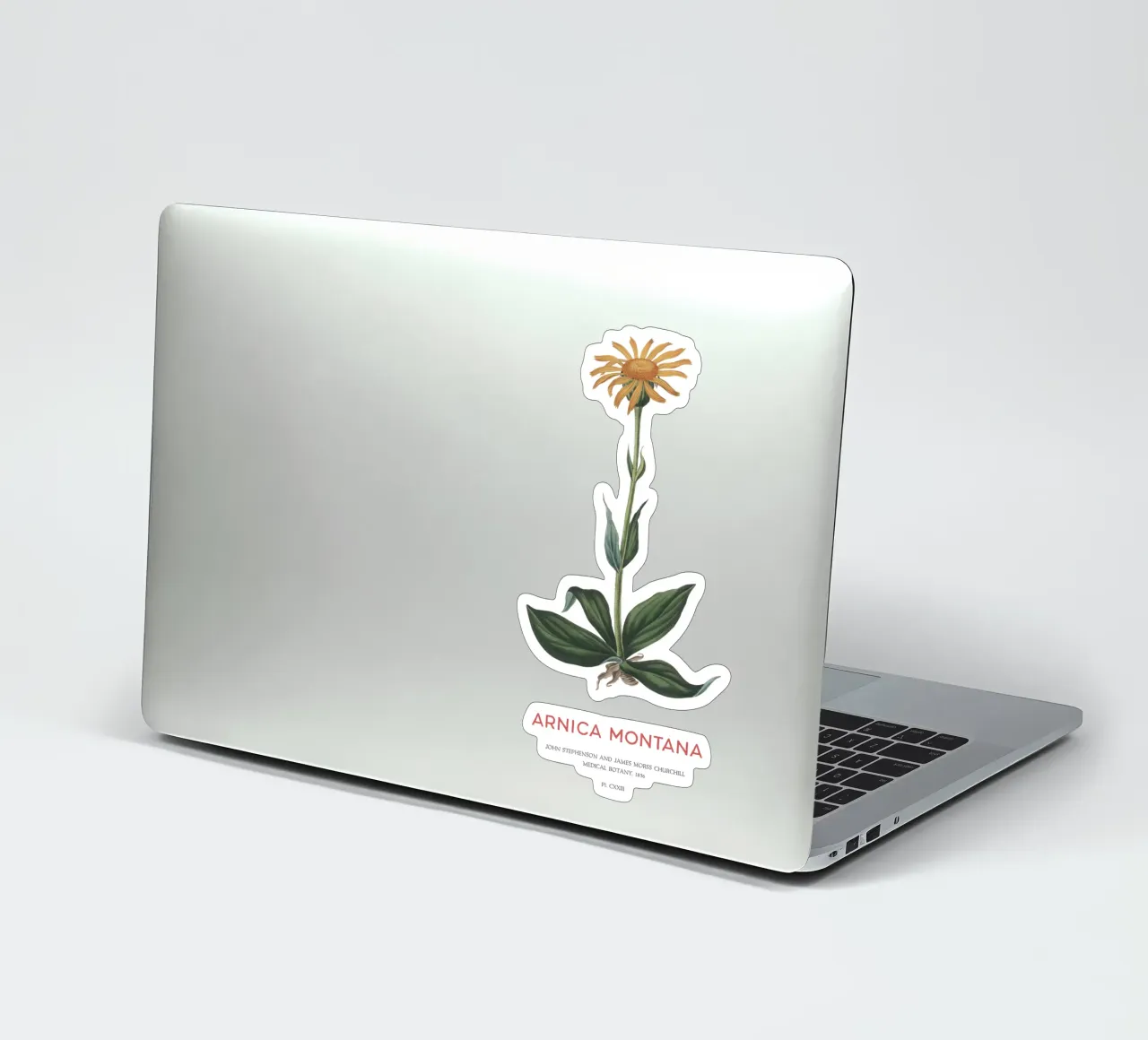 Bergtabak oder Arnika Montana Sticker von Vintagrafica