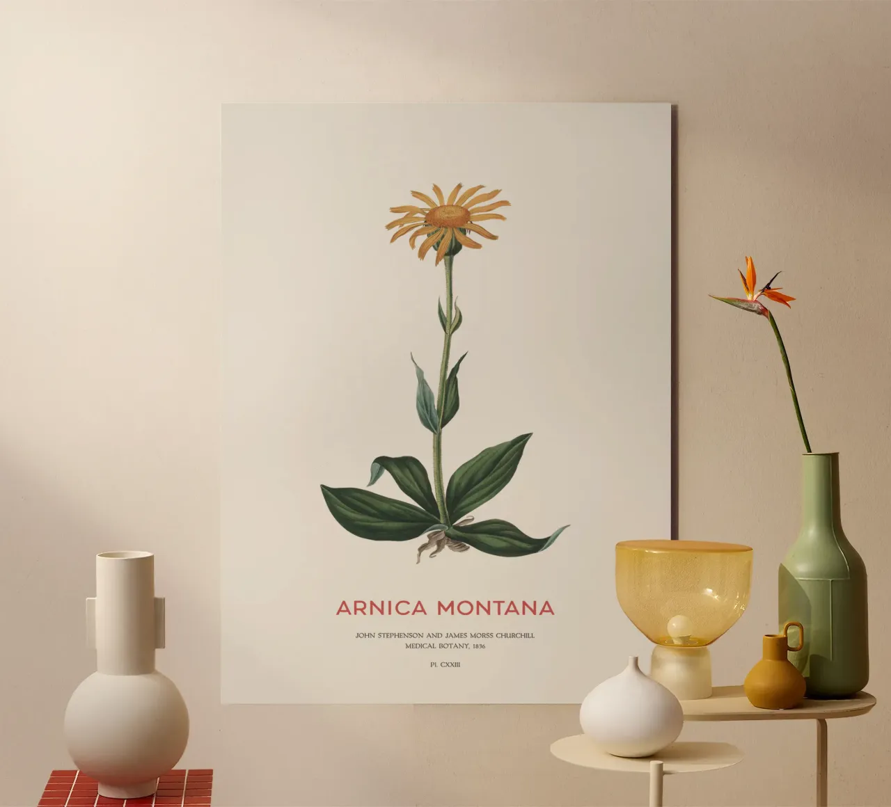 Bergtabak oder Arnika Montana Alu-Dibond von Vintagrafica