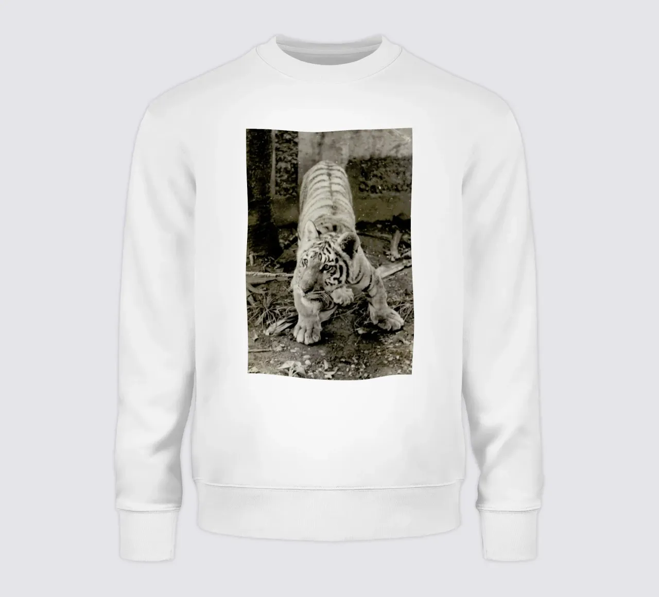 Aloha felpa da Sophie Etchart