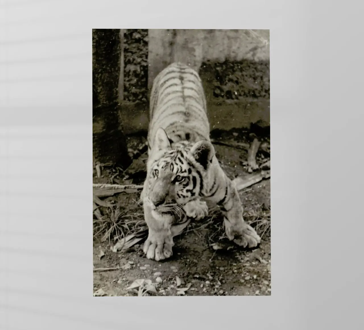 Aloha pellicola backlit da Sophie Etchart