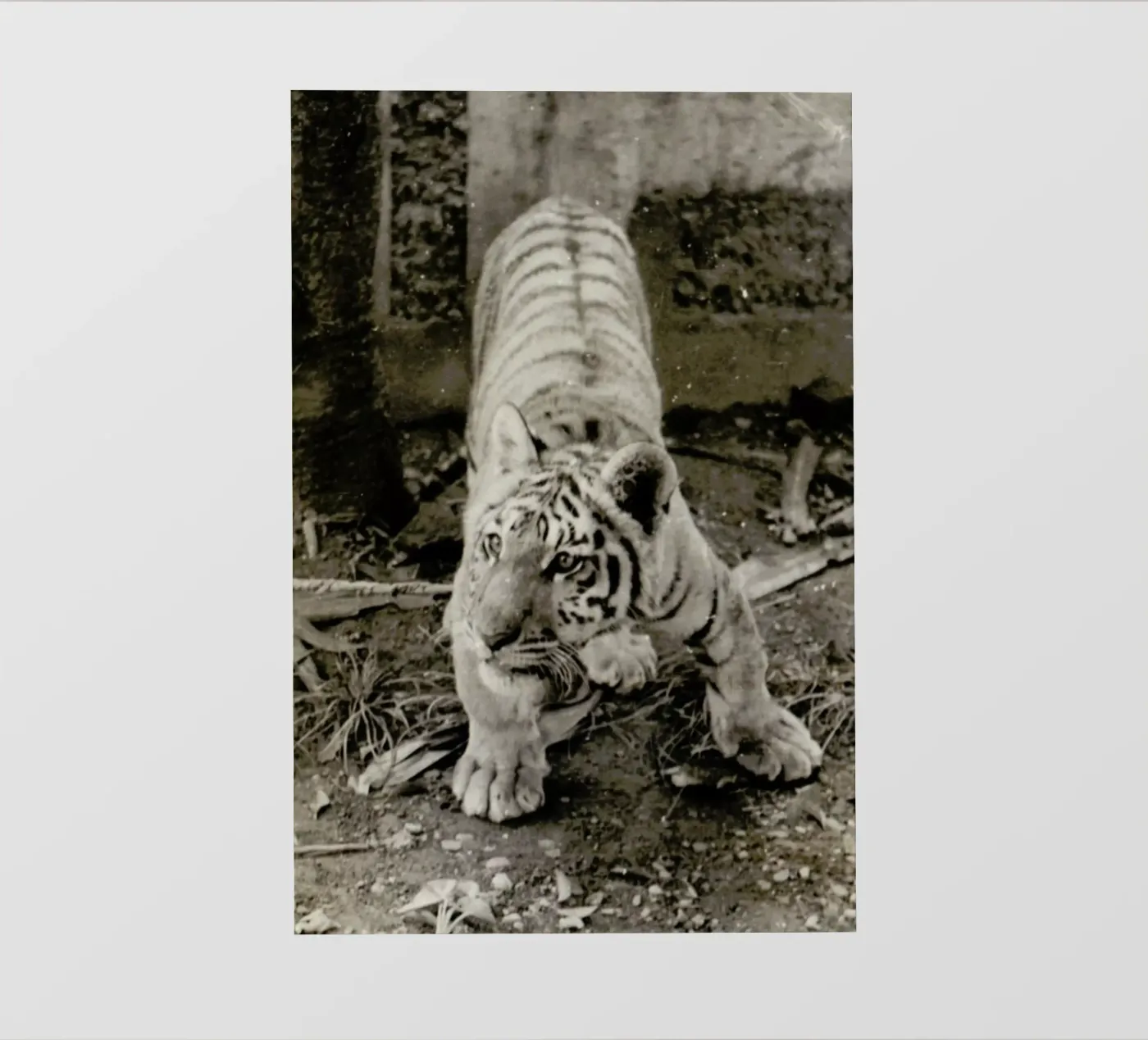 Aloha backlit film by Sophie Etchart