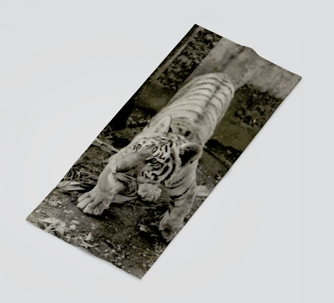 Aloha telo mare da Sophie Etchart