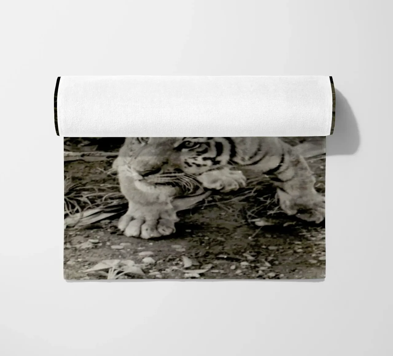 Aloha telo mare da Sophie Etchart