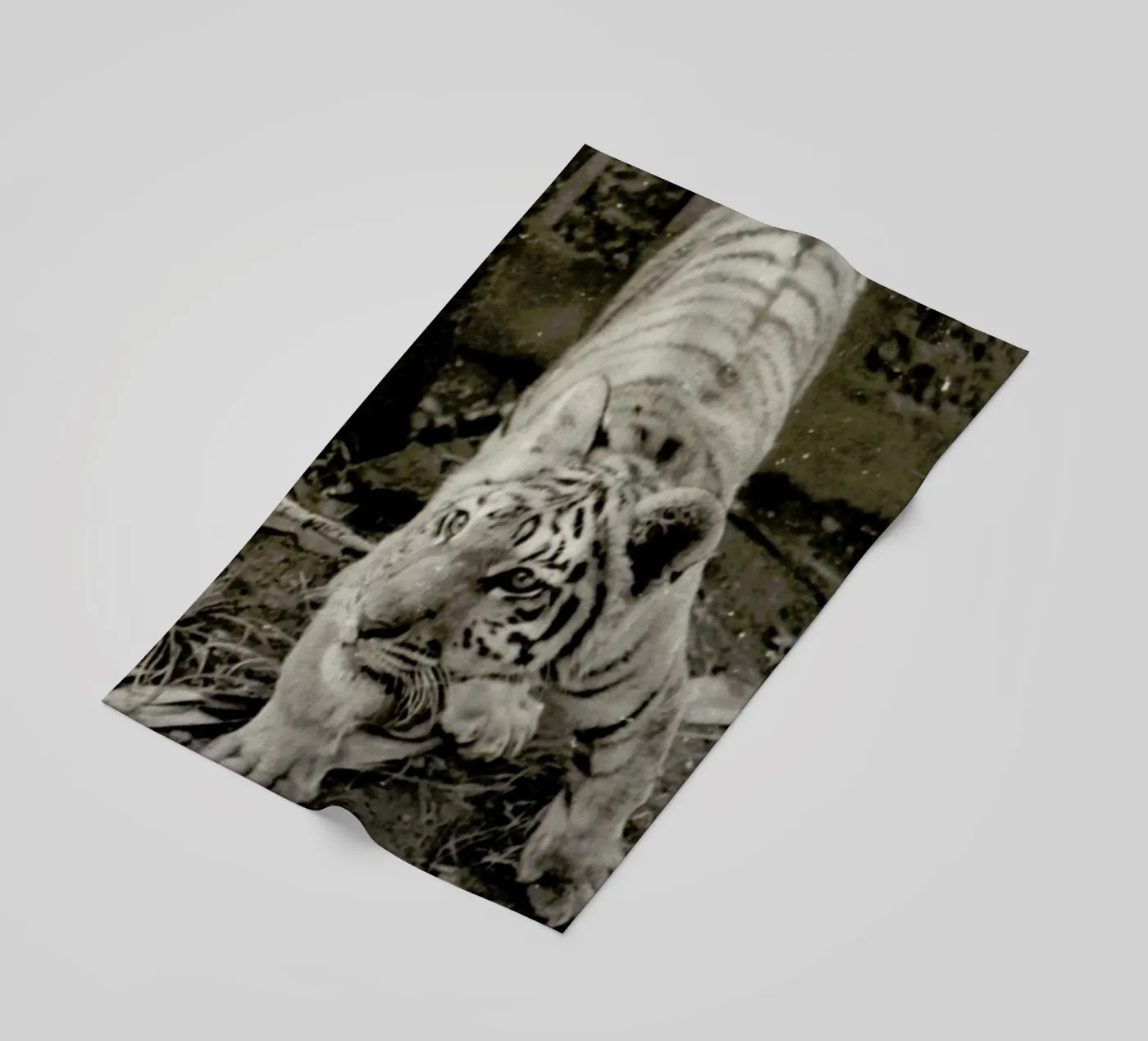 Aloha telo mare da Sophie Etchart