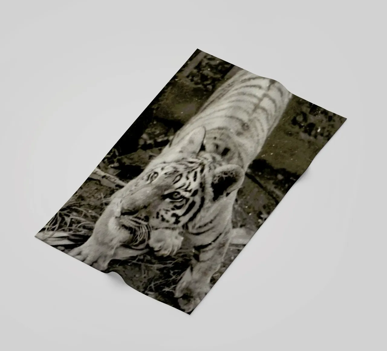 Aloha telo mare da Sophie Etchart