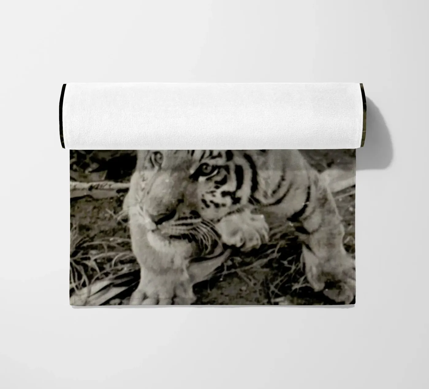 Aloha telo mare da Sophie Etchart