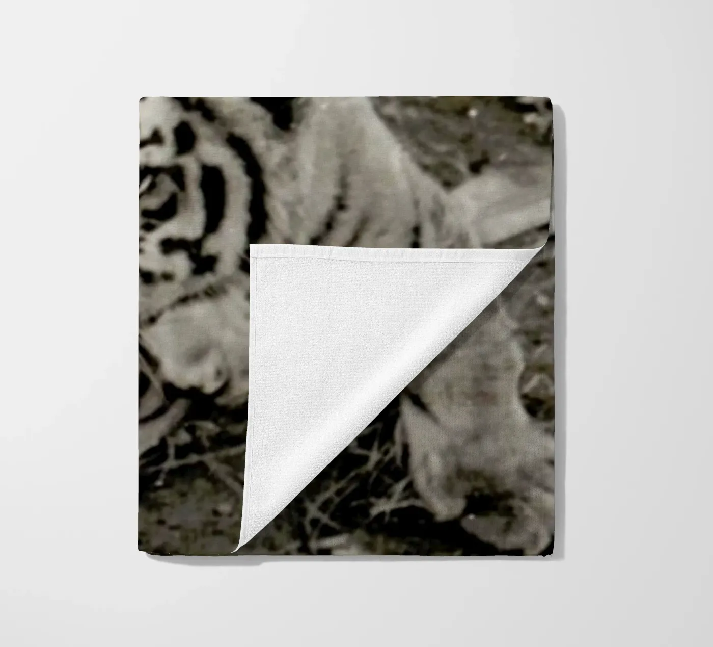 Aloha telo mare da Sophie Etchart