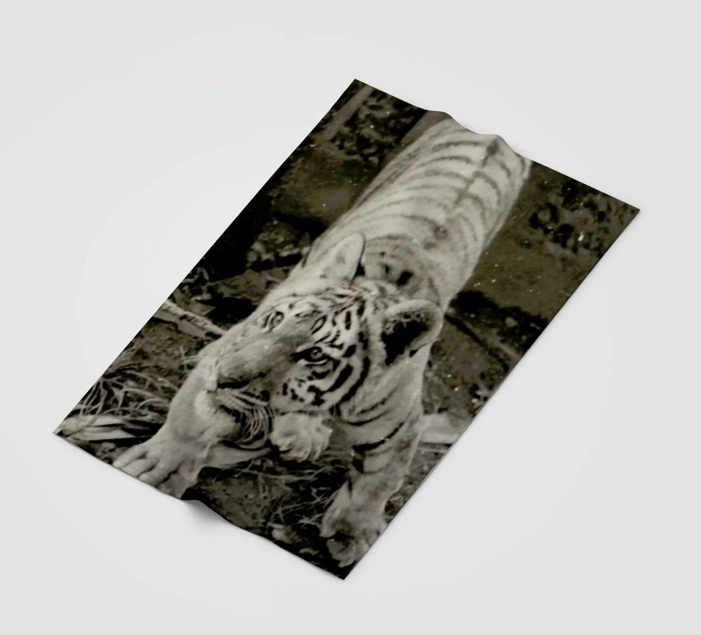 Aloha fleece blanket by Sophie Etchart