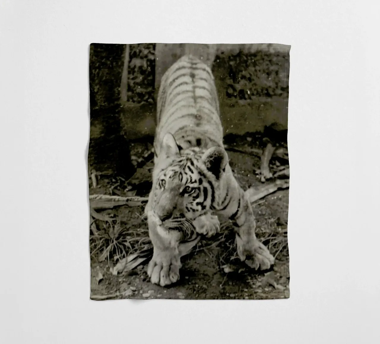 Aloha Fleecedecke von Sophie Etchart