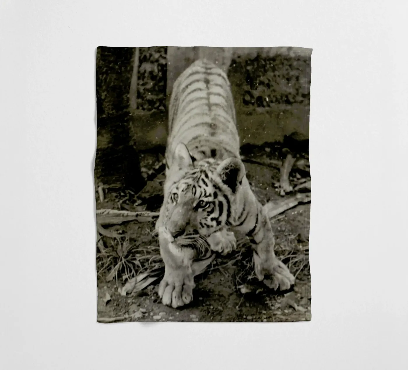 Aloha fleece blanket by Sophie Etchart