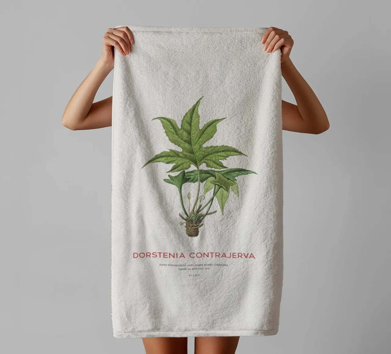 Dorstenia Сontrajerva pianta asciugamano da bagno da Vintagrafica