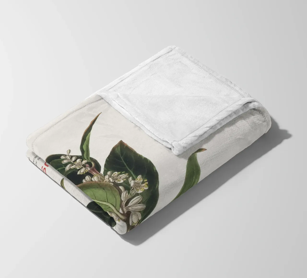 Griechischer Lorbeer oder Laurus Nobilis Fleecedecke von Vintagrafica