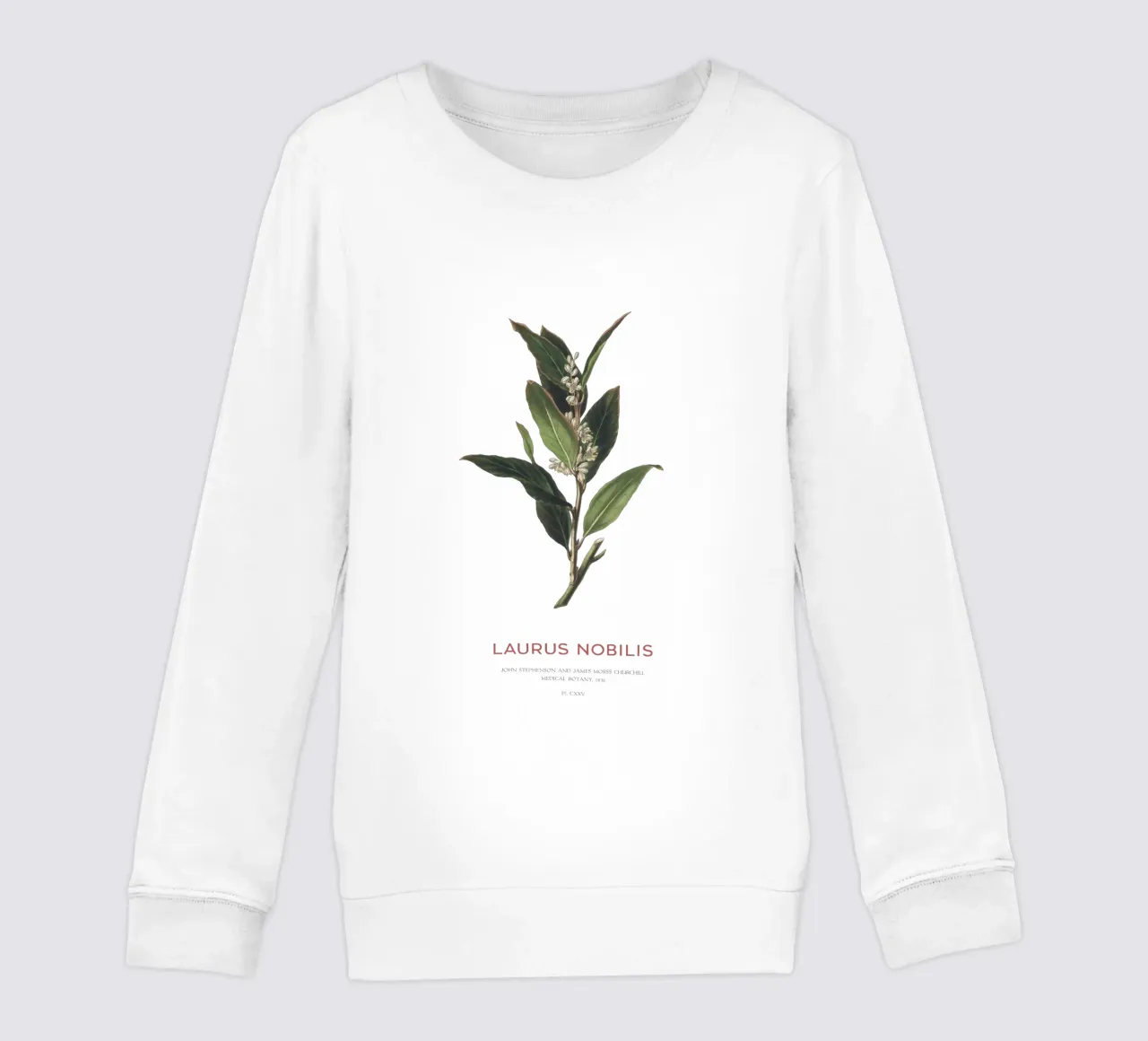 Alloro greco o Laurus Nobilis felpa bambino da Vintagrafica