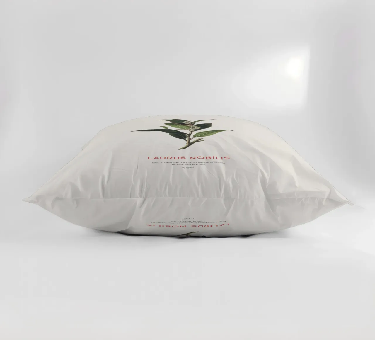 Alloro greco o Laurus Nobilis cuscino da Vintagrafica