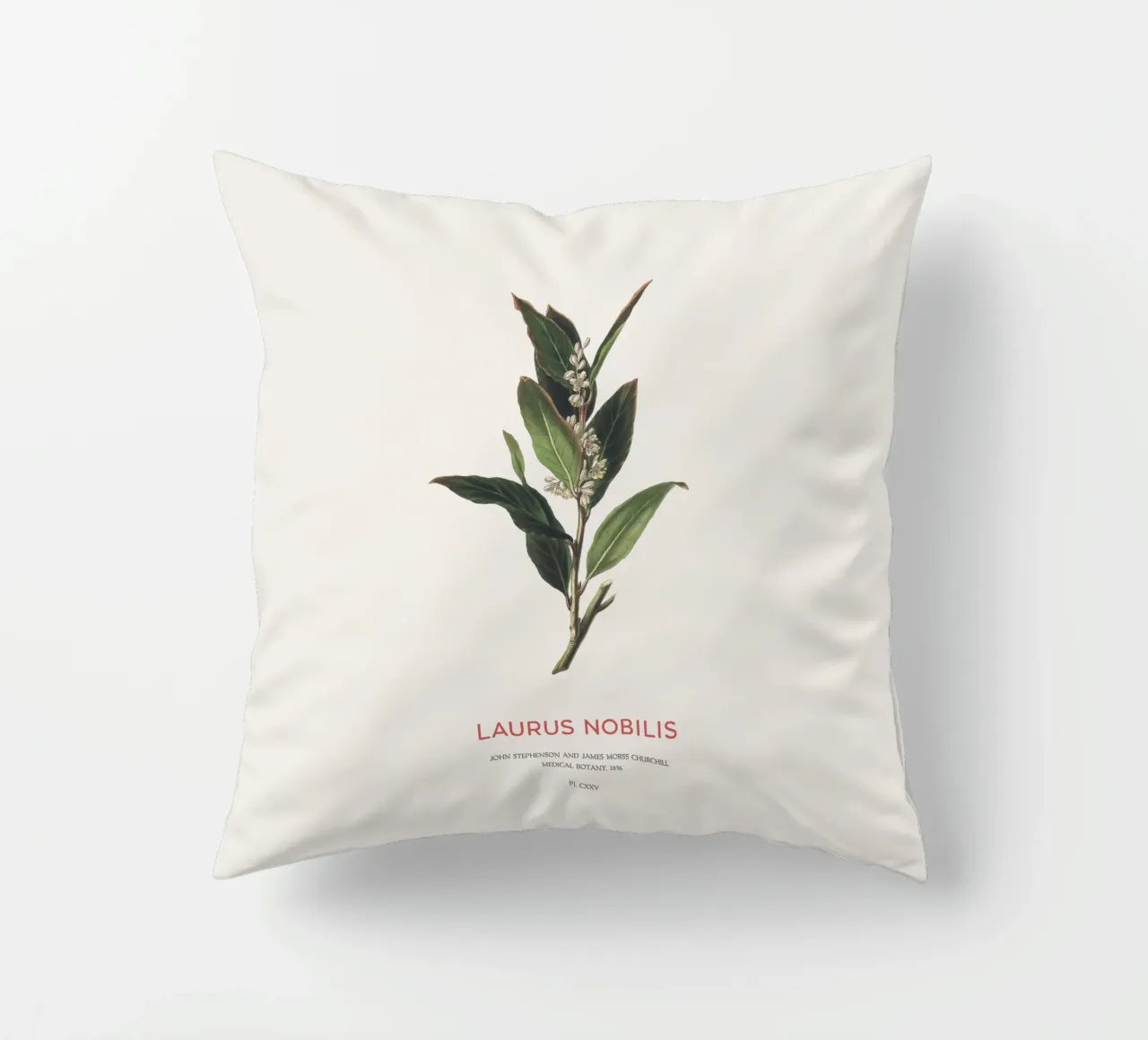 Alloro greco o Laurus Nobilis cuscino da Vintagrafica