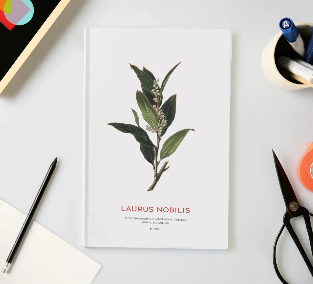 Grecian laurel or Laurus Nobilis notebook by Vintagrafica