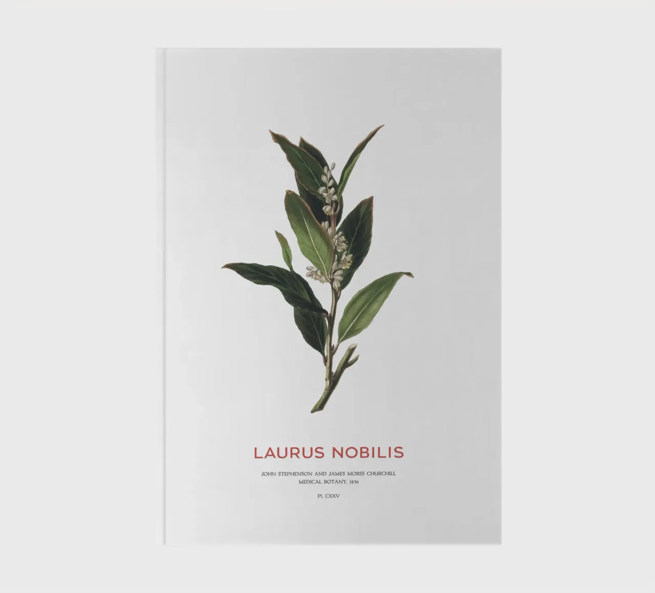 Grecian laurel or Laurus Nobilis notebook by Vintagrafica