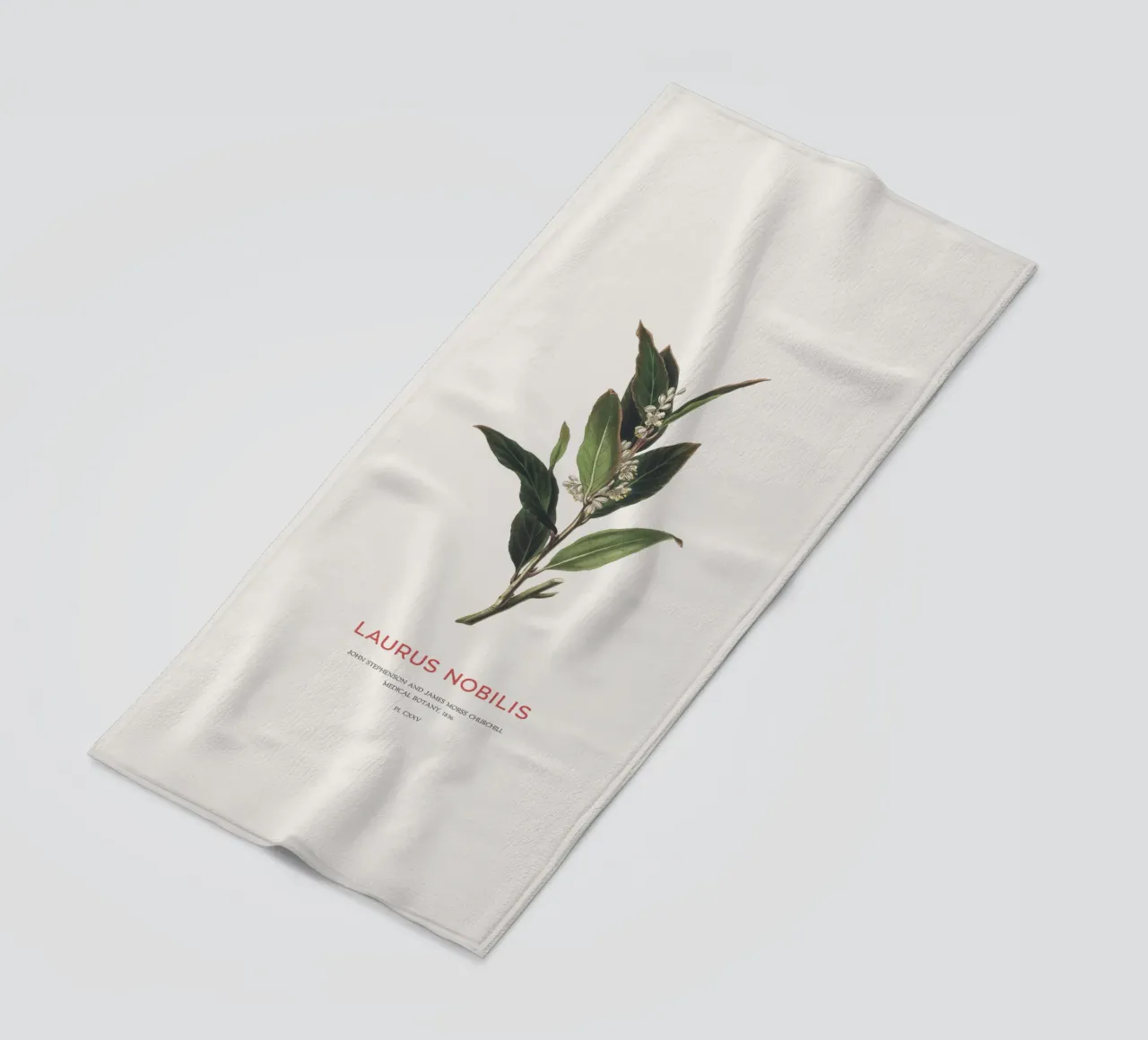 Alloro greco o Laurus Nobilis telo mare da Vintagrafica