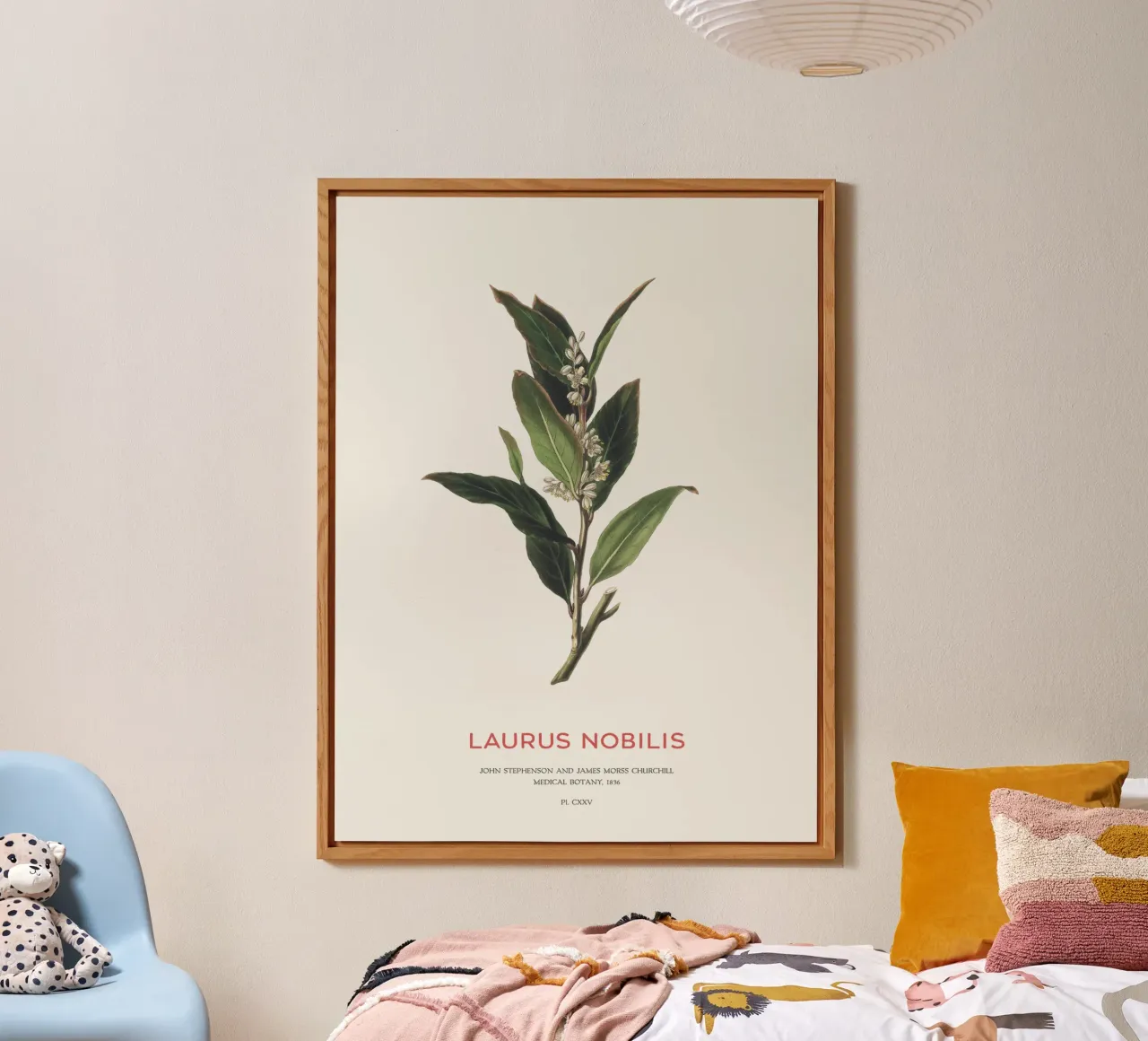 Alloro greco o Laurus Nobilis alluminio dibond da Vintagrafica