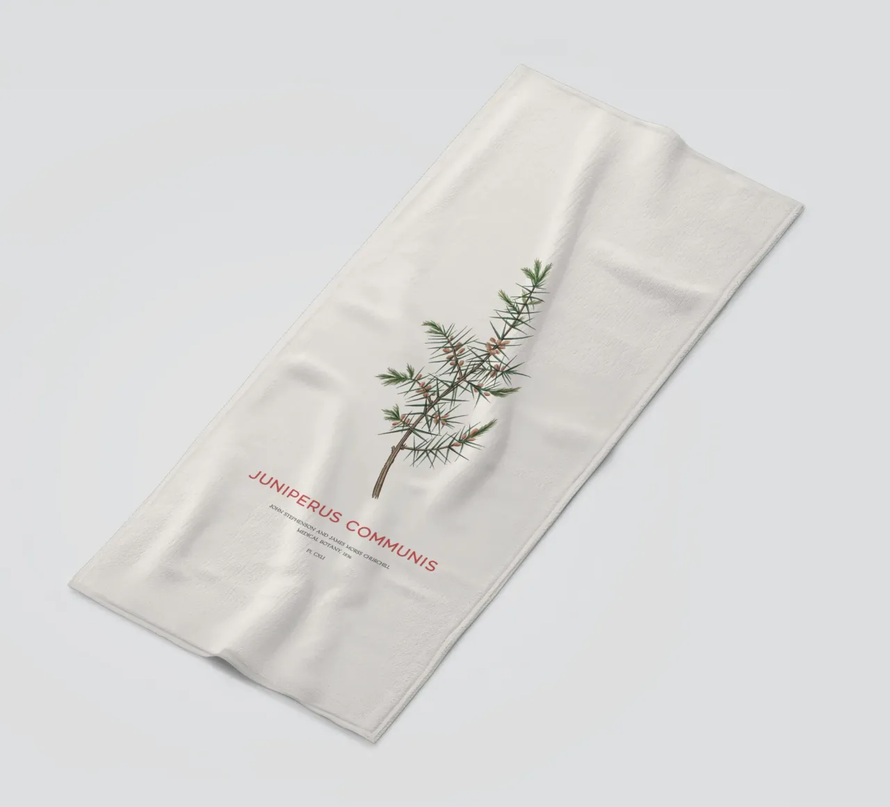Ginepro o Juniperus Communis telo mare da Vintagrafica