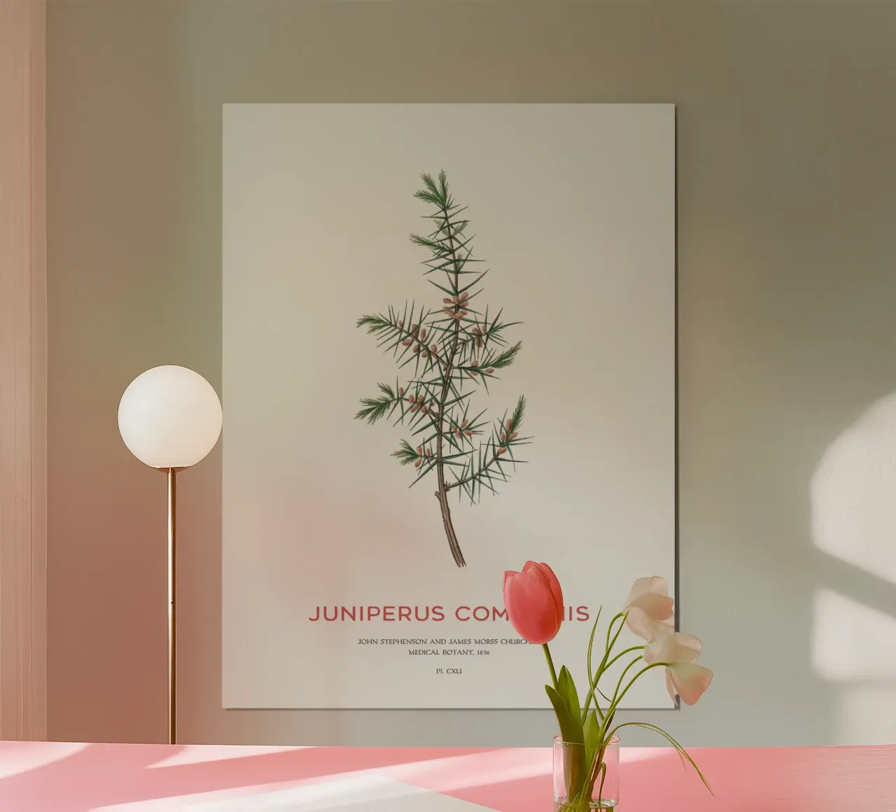Wacholder oder Juniperus Communis Hahnemühle von Vintagrafica