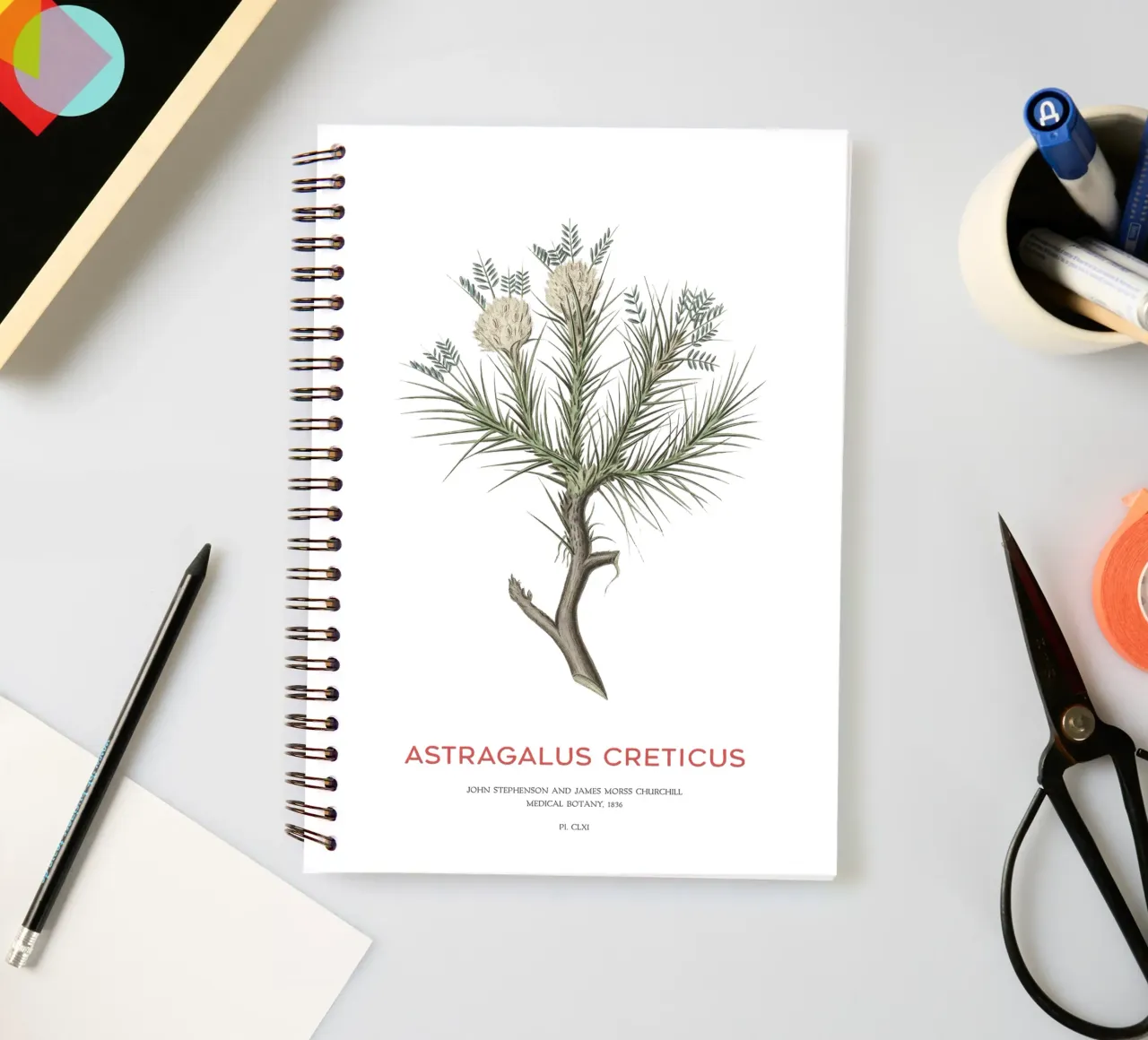 Deciduous shrub Astragalus Creticus spiral notebook by Vintagrafica