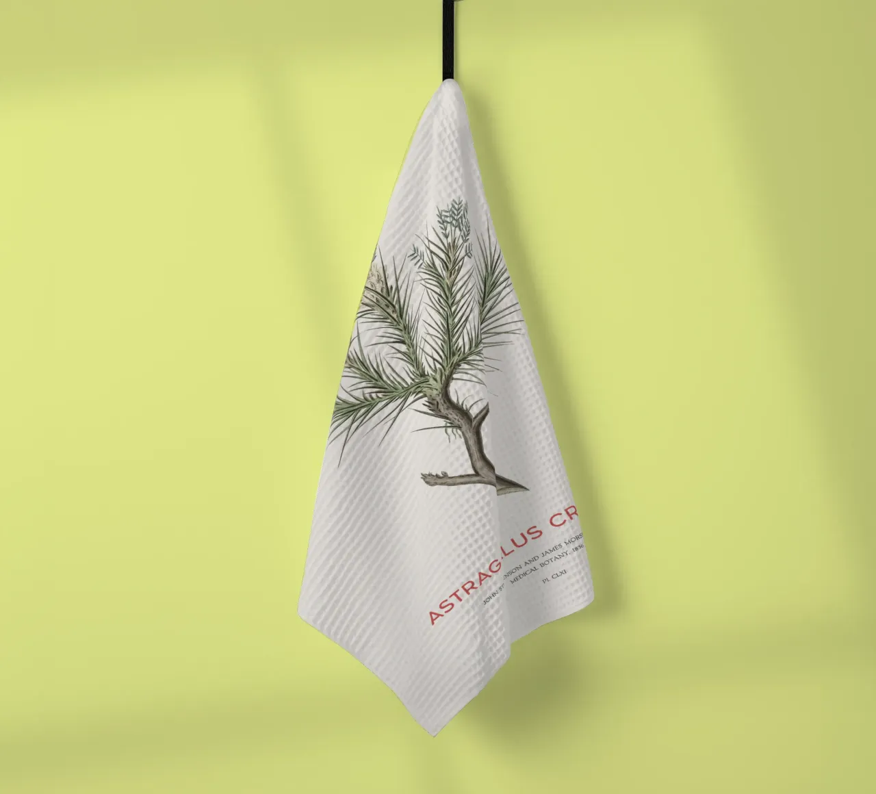 Arbusto deciduo Astragalus Creticus canovaccio da cucina da Vintagrafica
