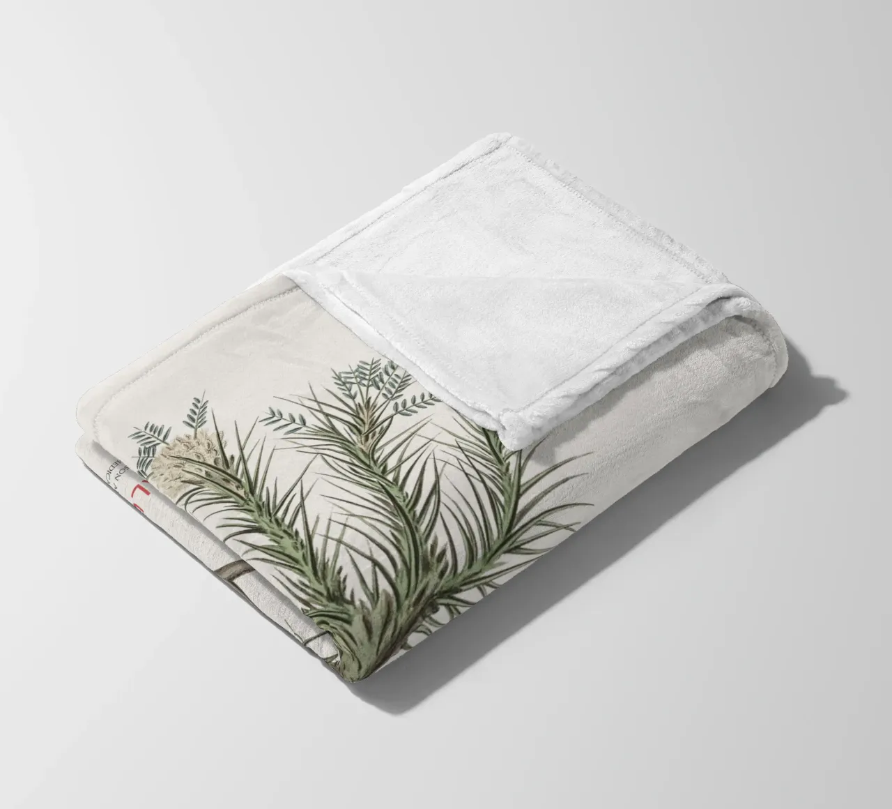 Arbusto deciduo Astragalus Creticus coperta in pile da Vintagrafica