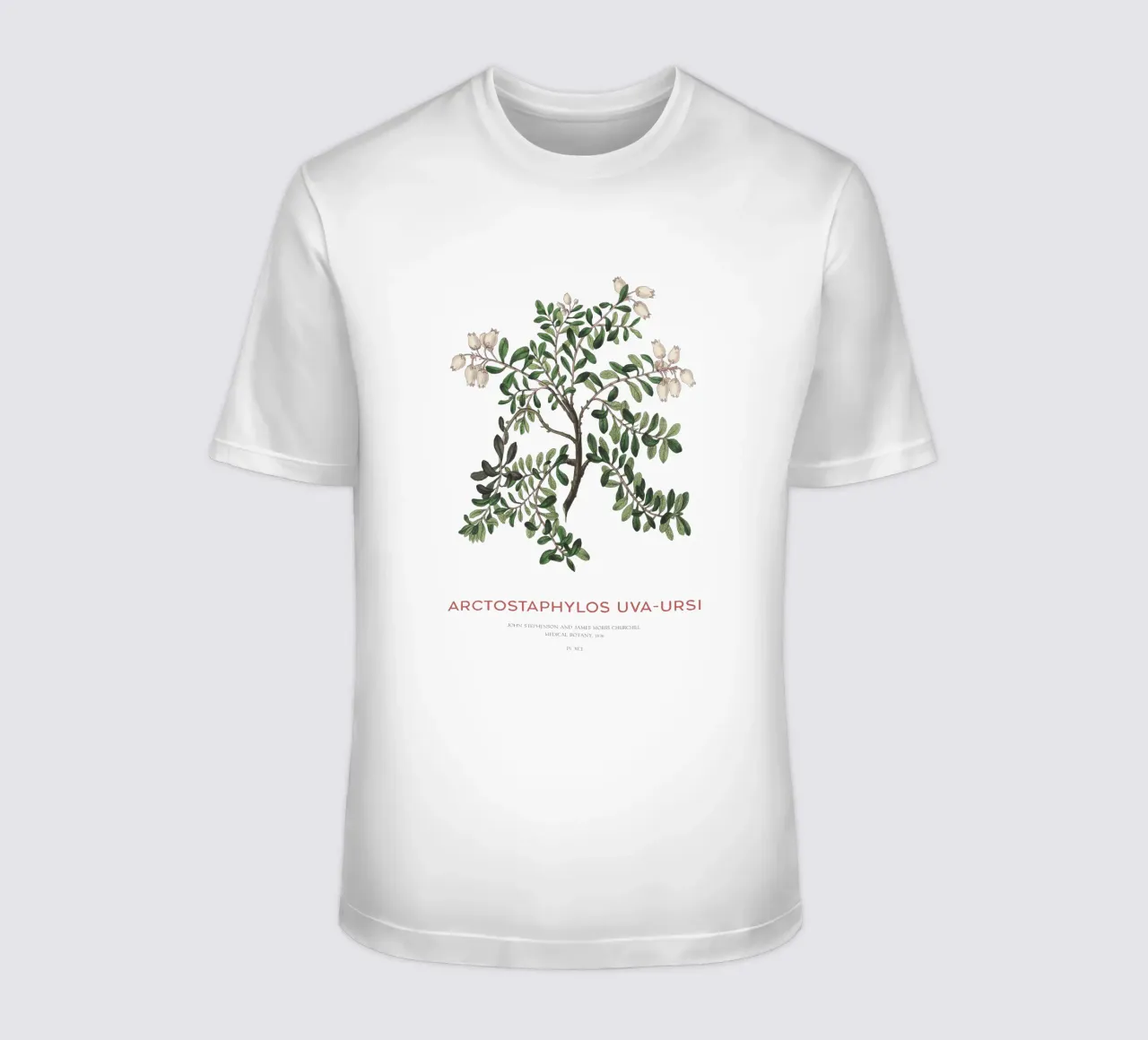 Uva ursina o Arctostaphylos Uva-ursi t-shirt da Vintagrafica