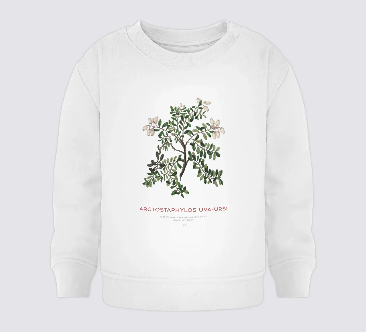 Uva ursina o Arctostaphylos Uva-ursi felpa neonato da Vintagrafica