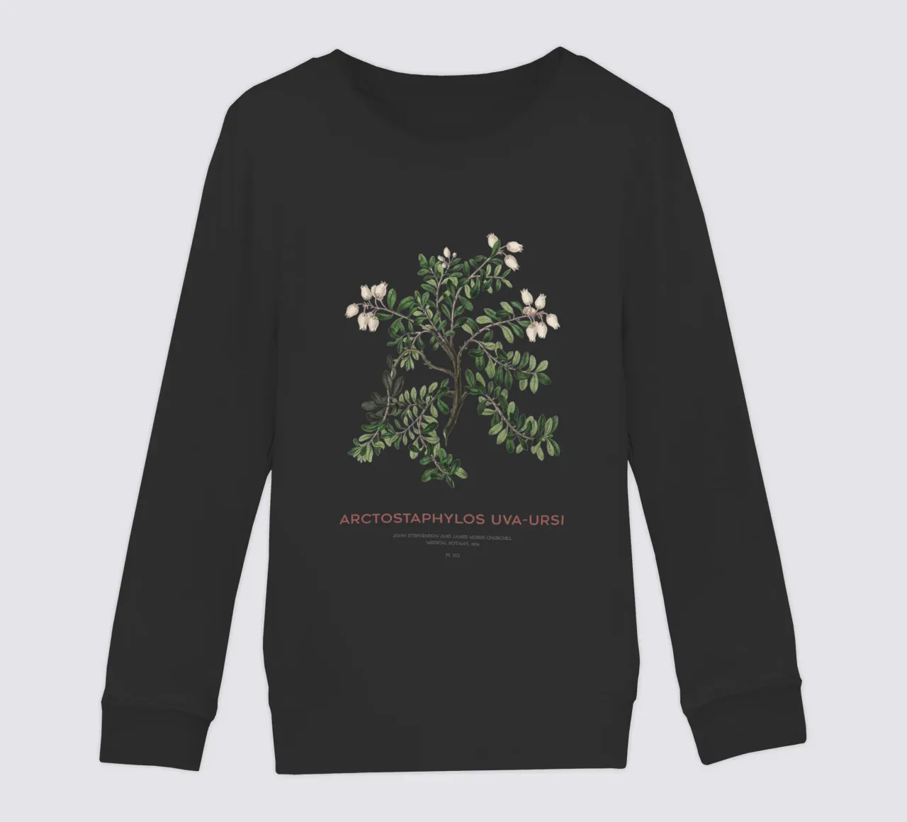 Bearberry or Arctostaphylos Uva-ursi kids sweatshirt by Vintagrafica
