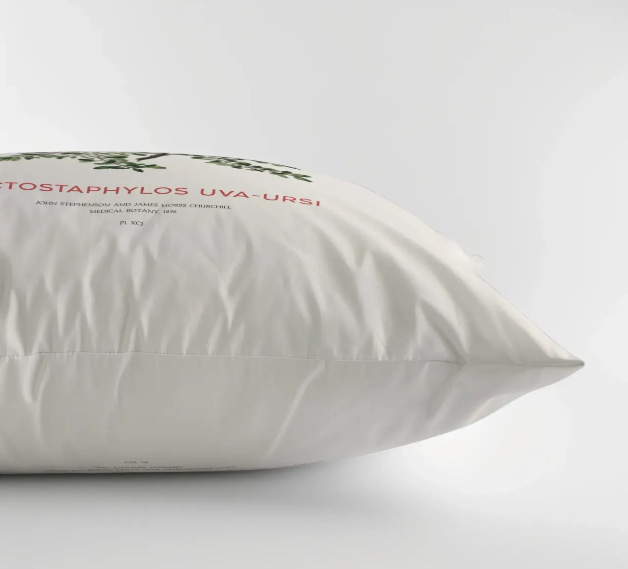 Uva ursina o Arctostaphylos Uva-ursi cuscino da Vintagrafica