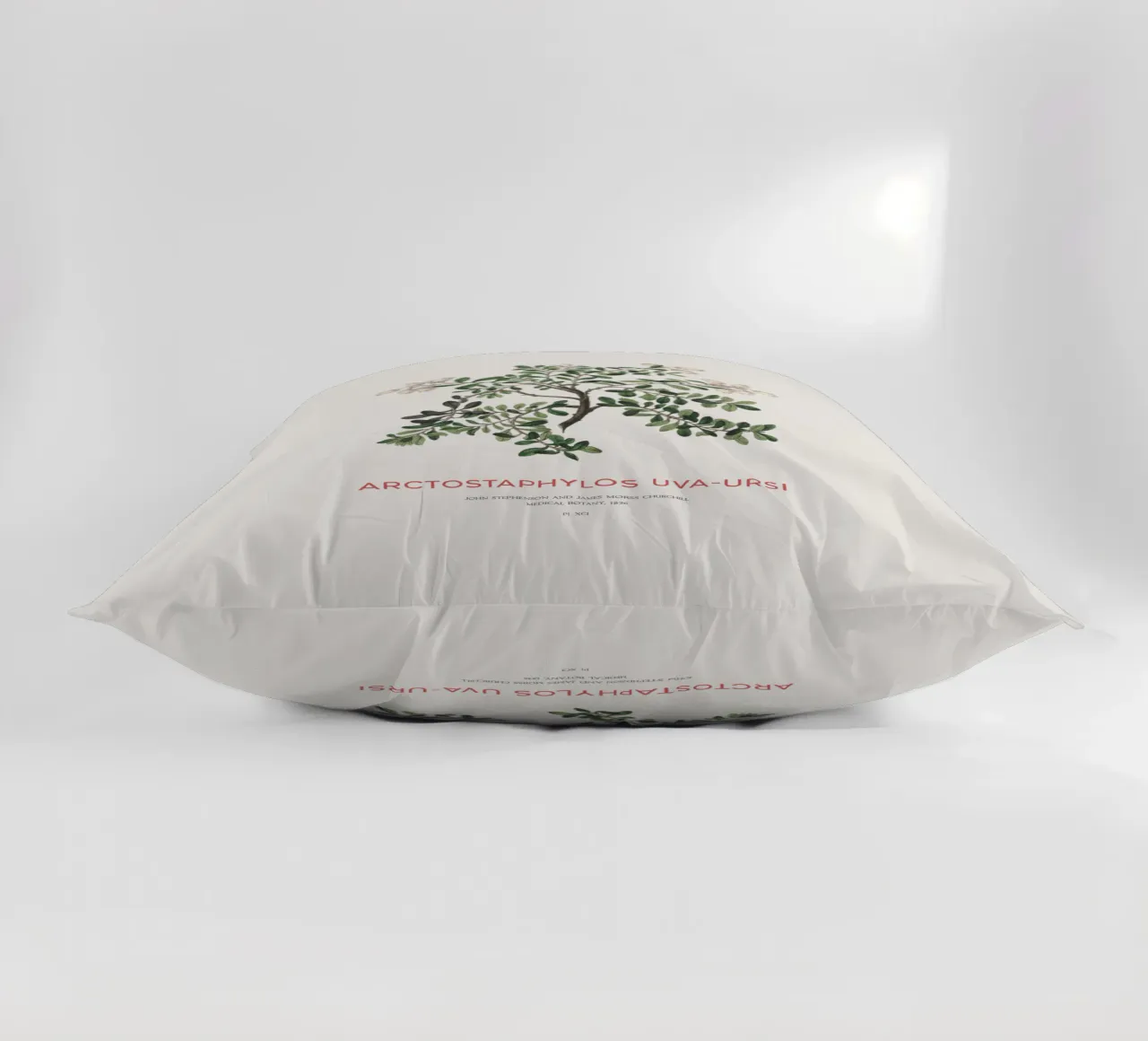 Uva ursina o Arctostaphylos Uva-ursi cuscino da Vintagrafica