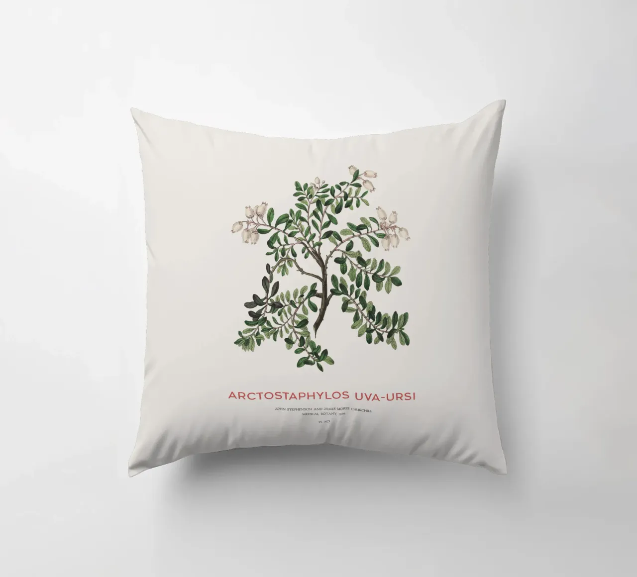 Uva ursina o Arctostaphylos Uva-ursi cuscino da Vintagrafica