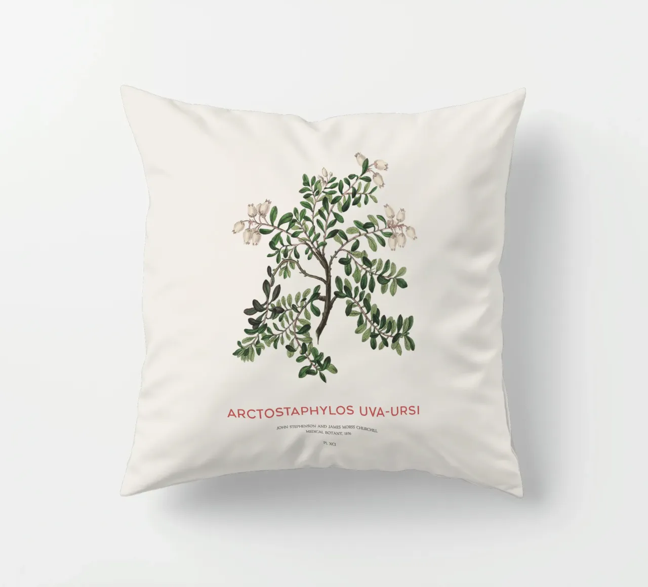 Uva ursina o Arctostaphylos Uva-ursi cuscino da Vintagrafica