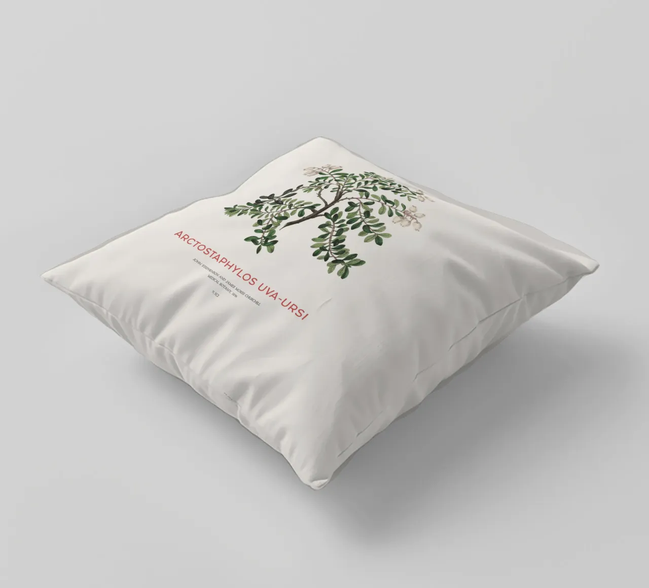 Uva ursina o Arctostaphylos Uva-ursi cuscino da Vintagrafica