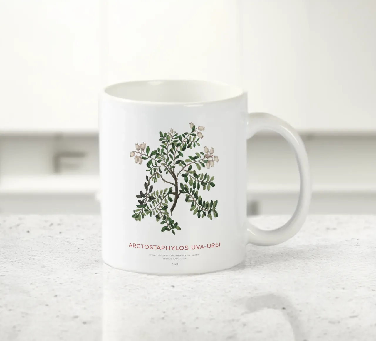 Uva ursina o Arctostaphylos Uva-ursi tazza in ceramica da Vintagrafica