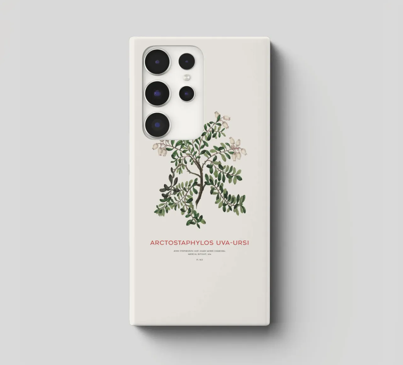 Uva ursina o Arctostaphylos Uva-ursi cover samsung da Vintagrafica