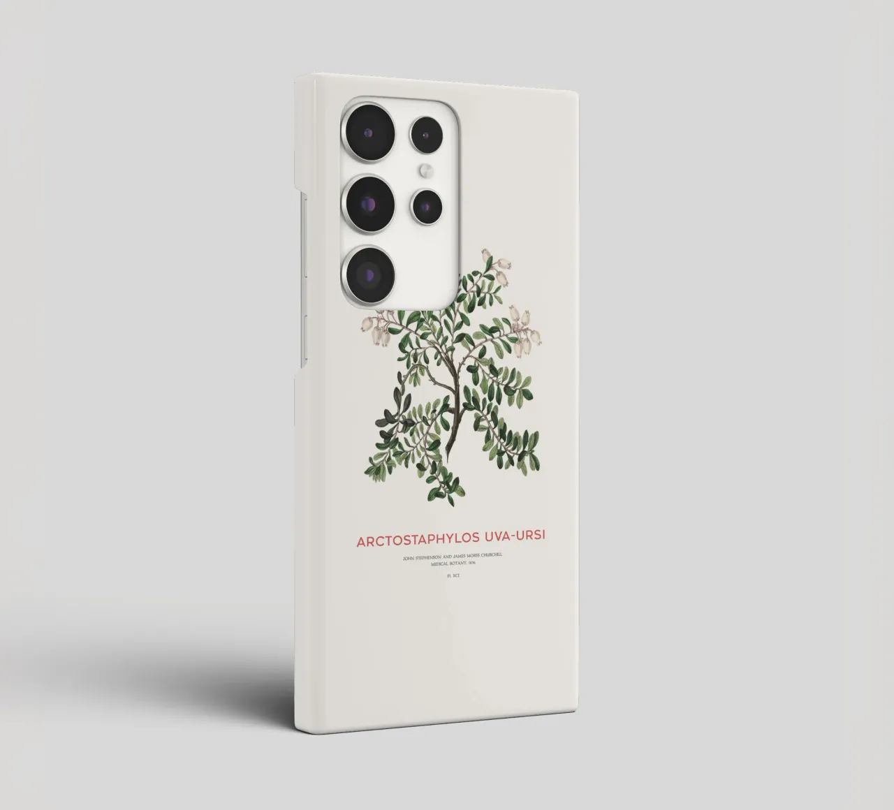 Uva ursina o Arctostaphylos Uva-ursi cover samsung da Vintagrafica