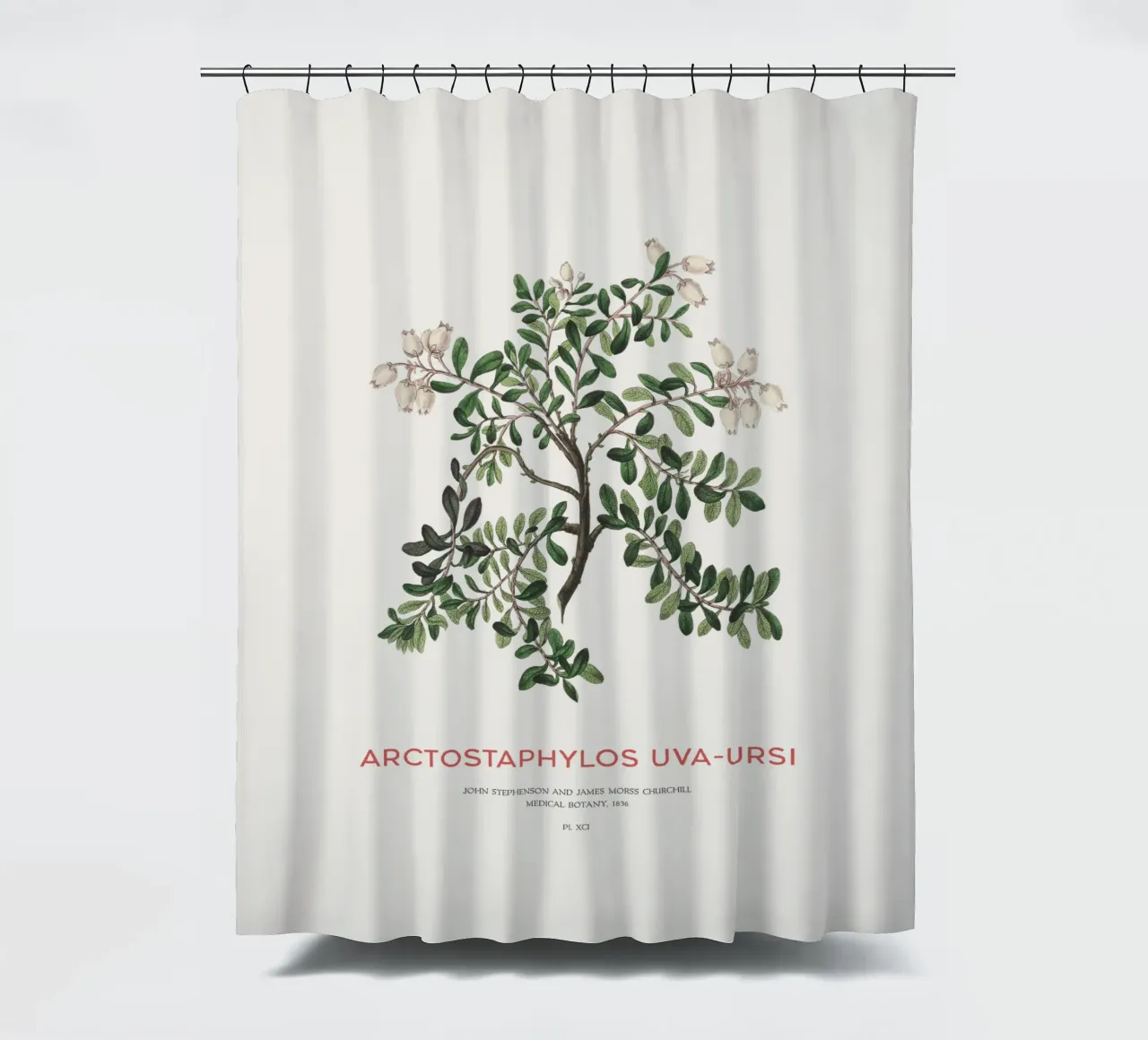 Uva ursina o Arctostaphylos Uva-ursi tenda da doccia da Vintagrafica