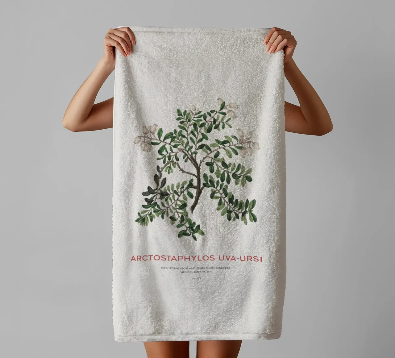 Bearberry or Arctostaphylos Uva-ursi towel by Vintagrafica