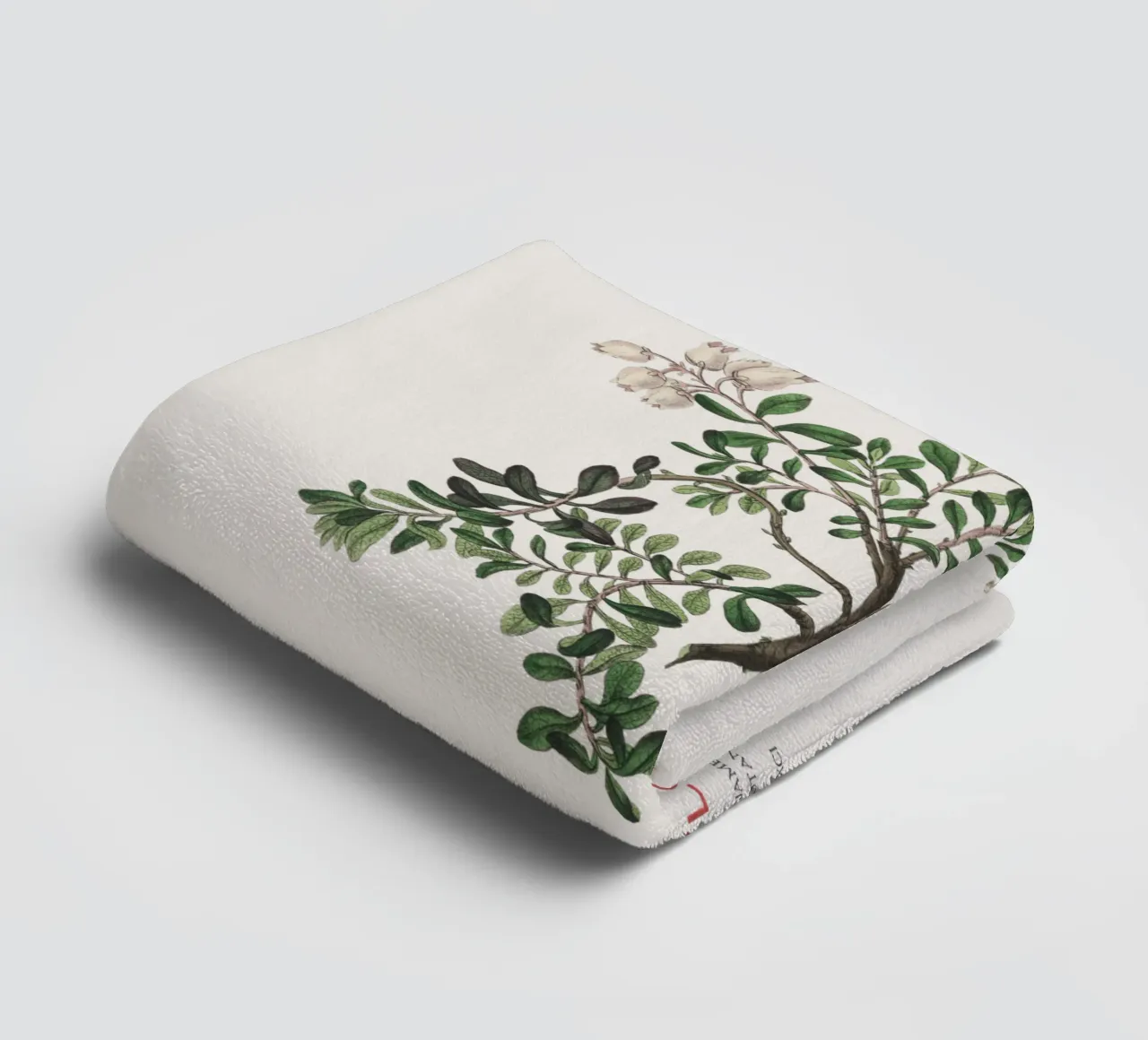 Bearberry or Arctostaphylos Uva-ursi towel by Vintagrafica